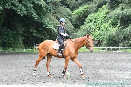 oiso