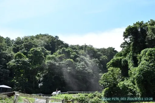 oiso