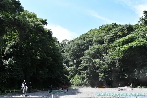 oiso