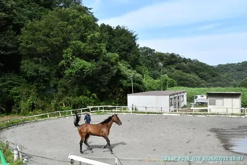 oiso