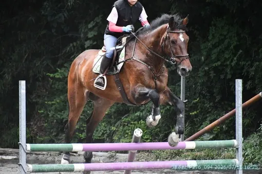 oiso