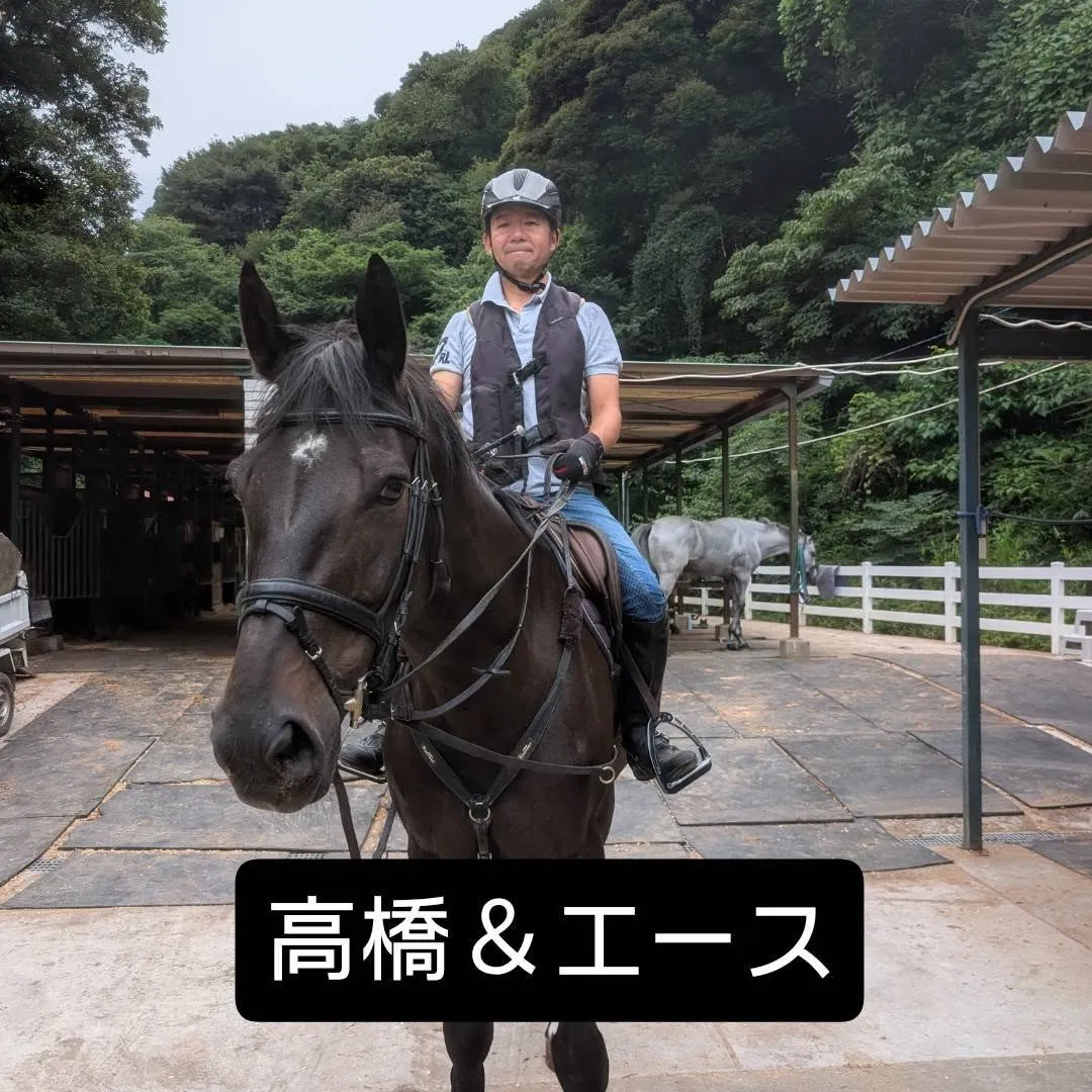 【全日本障害馬術大会 出場人馬のご紹介!🐴🔥】