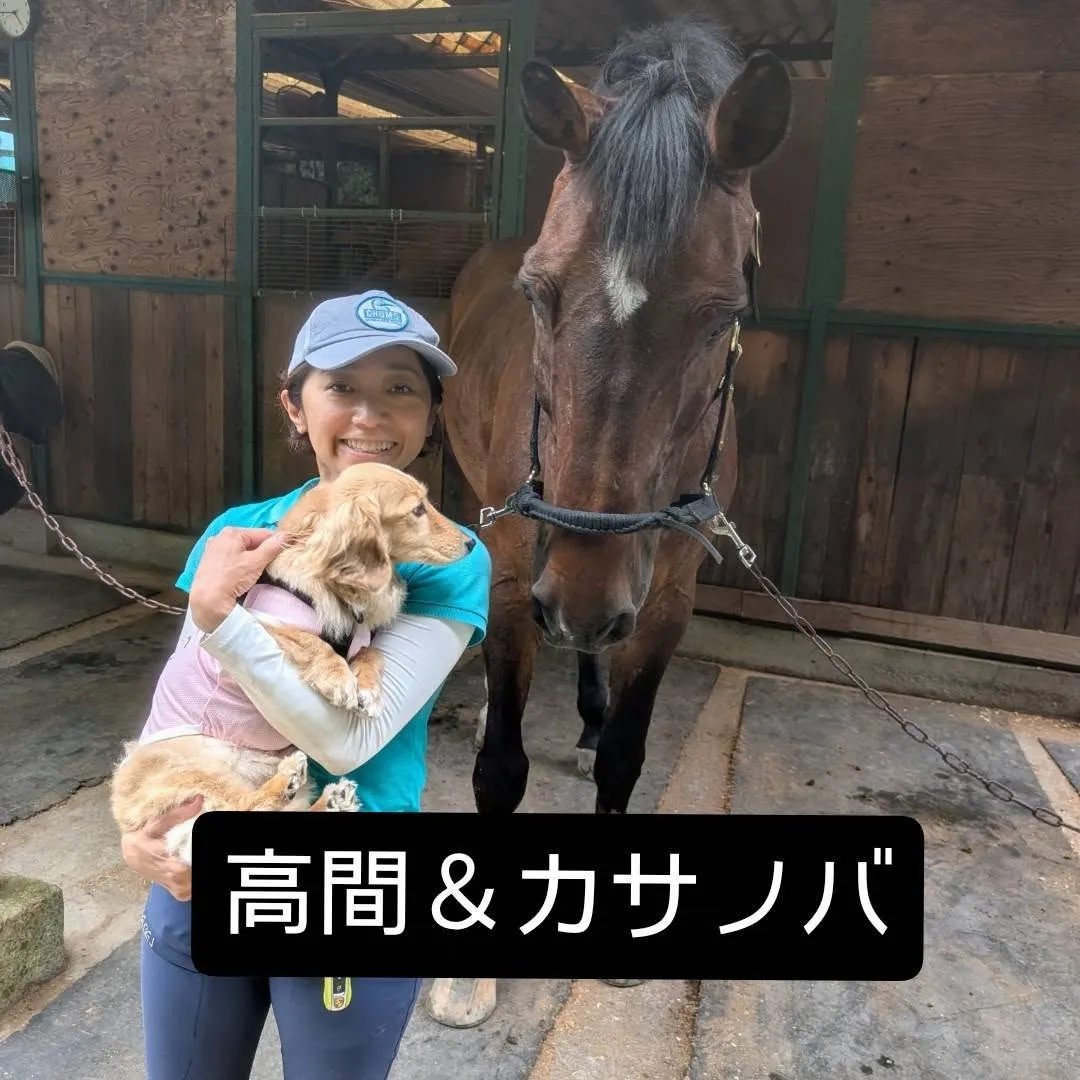 【全日本障害馬術大会 出場人馬のご紹介!🐴🔥】