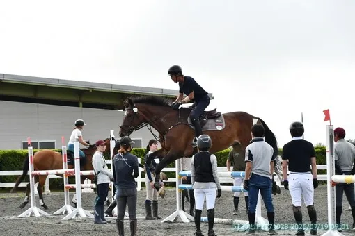 oiso