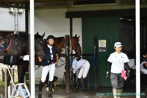 oiso