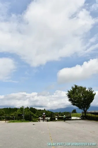 oiso