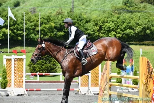oiso