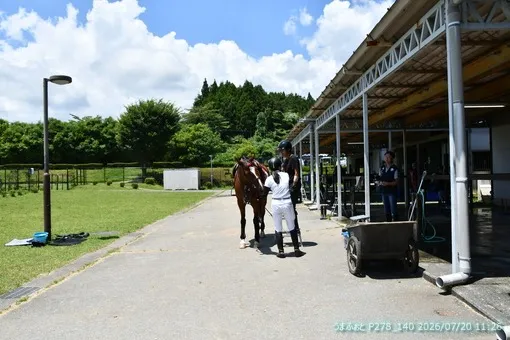 oiso