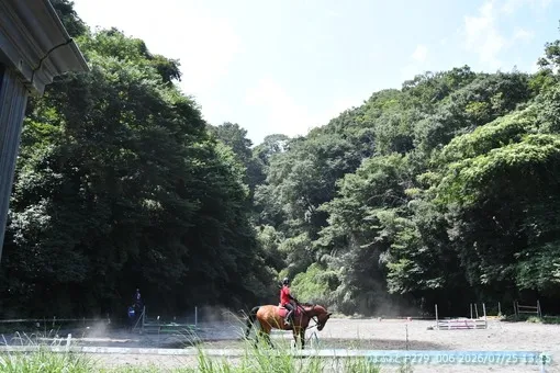 oiso