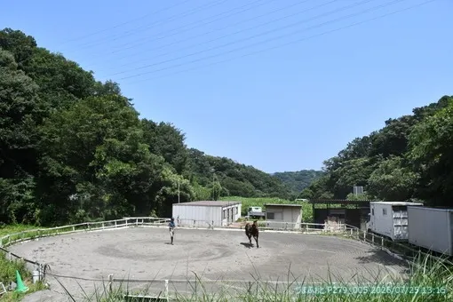 oiso