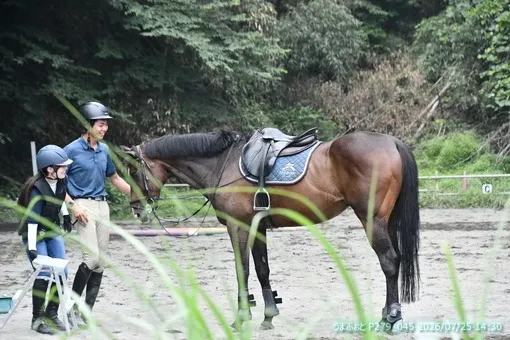 oiso