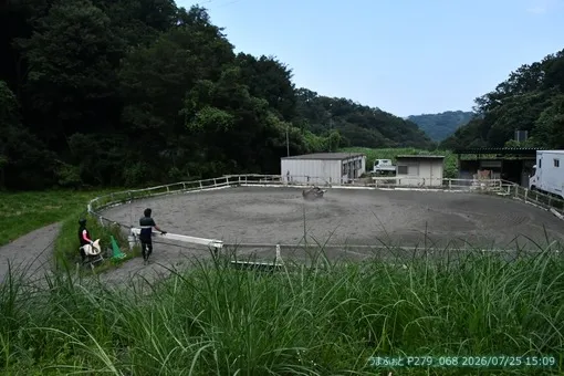 oiso