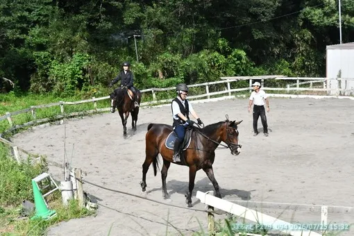 oiso