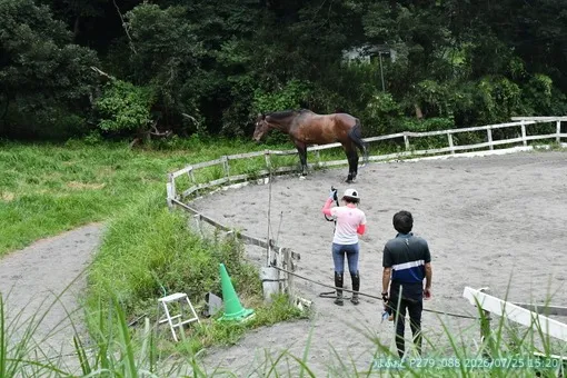oiso