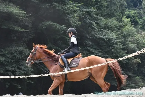 oiso