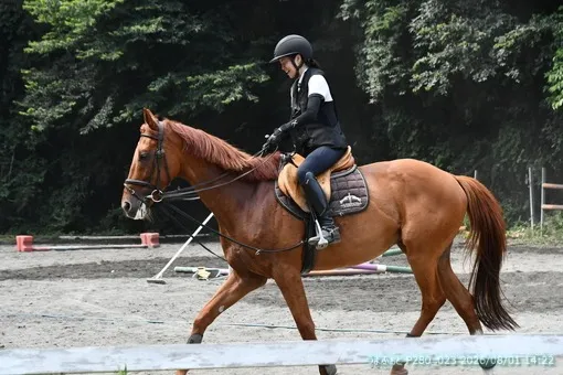 oiso