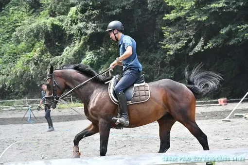 oiso