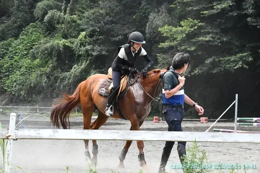 oiso