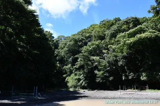 oiso