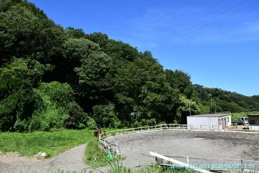 oiso