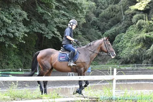 oiso