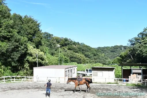 oiso