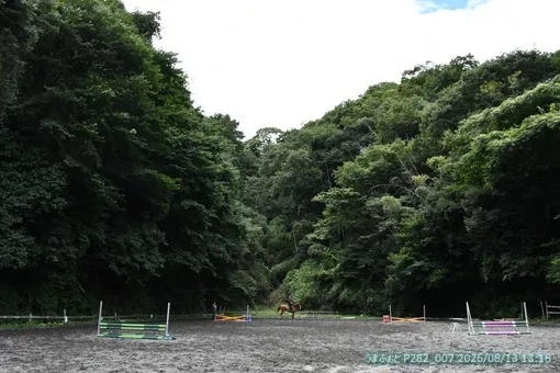 oiso