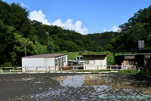 oiso