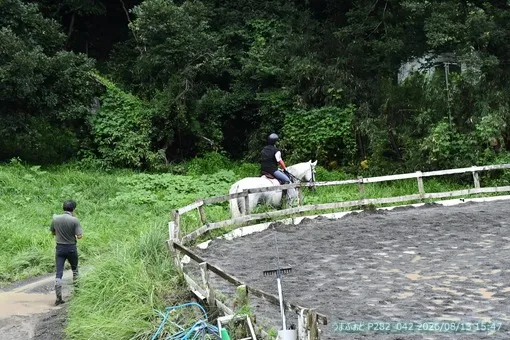 oiso