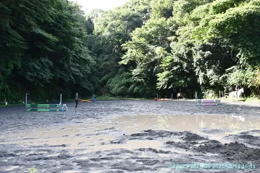 oiso