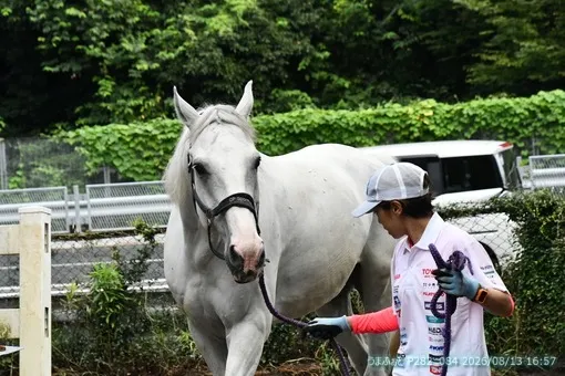 oiso