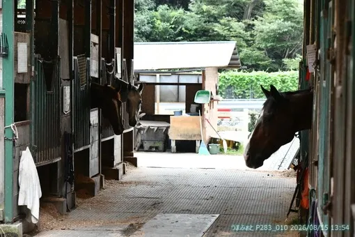 oiso