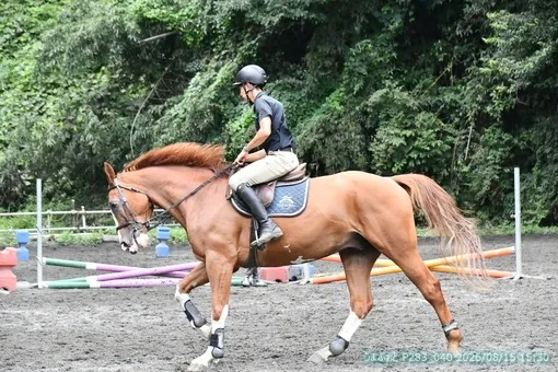 oiso