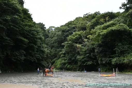 oiso