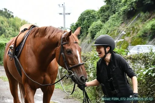 oiso