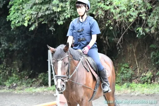 oiso