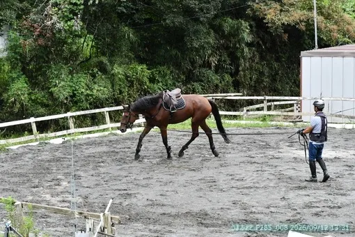 oiso