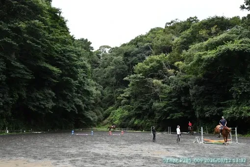 oiso