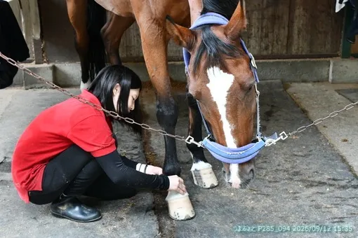 oiso