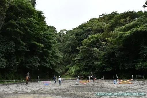 oiso