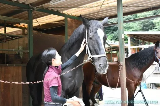 oiso