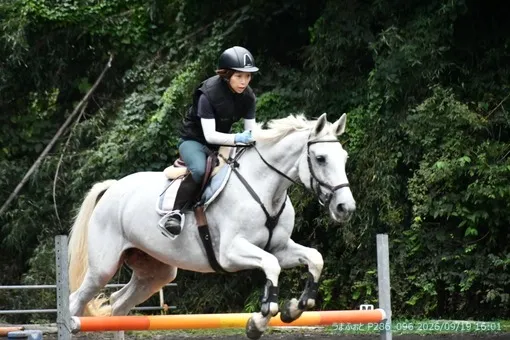 oiso