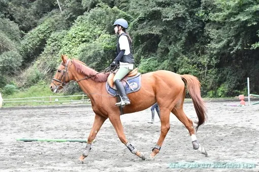 oiso