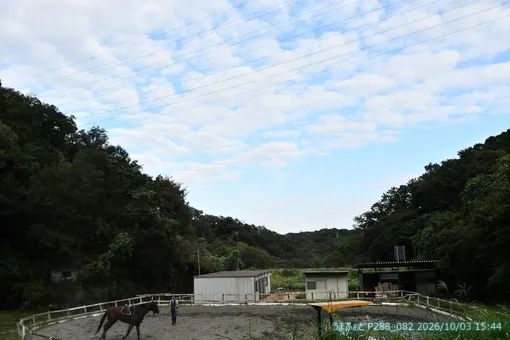 oiso