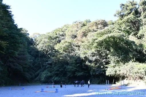 oiso