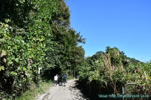 oiso