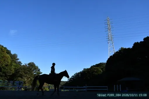 oiso
