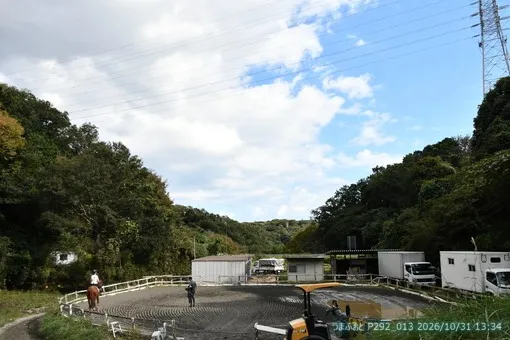 oiso