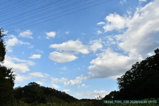 oiso