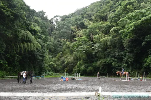 oiso